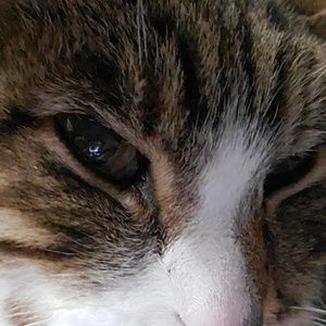 Meet your Posher, Derek